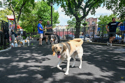 Noonan Park Dog Run