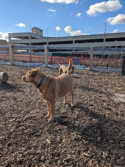 Ridge Hill Dog Park