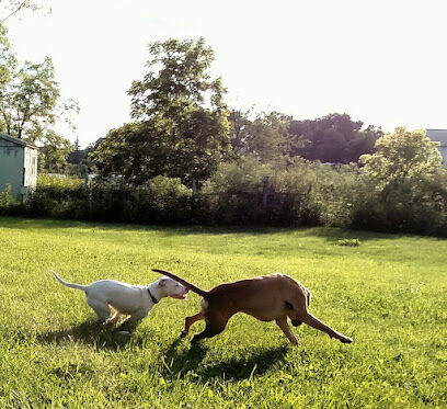 Peppy Paws Pooch Park, LLC
