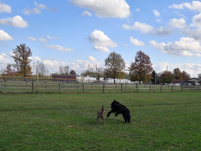 Smith Field Dog Park