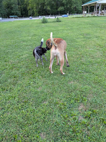 Austintown Bark Park