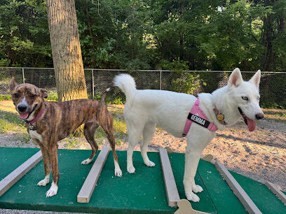 Avon Lake Dog Park