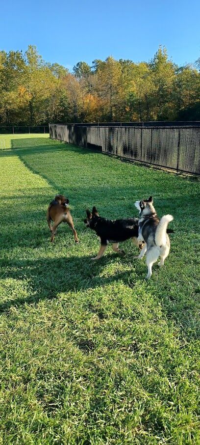 David J Stricker Dog Park
