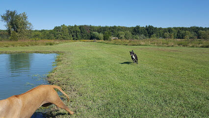 Tom Harvey Memorial Dog Park