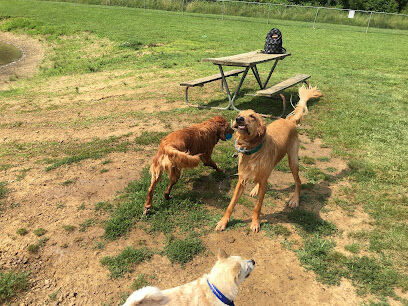 Dog Park