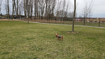 Ariss Park Dog Run