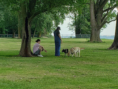 Dog Park