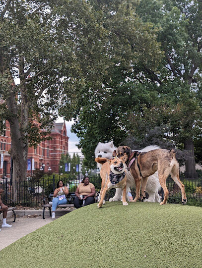 Dog Park at Washington Park