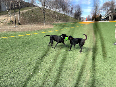 Fido Field