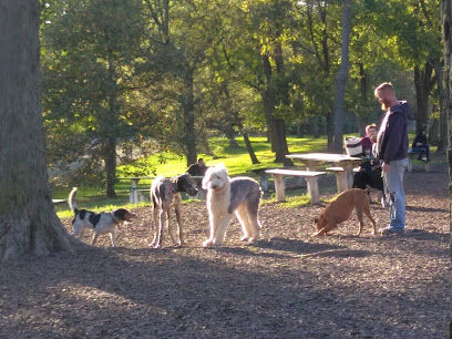 Mt. Airy Dog Park