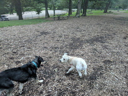 Mt. Airy Forest