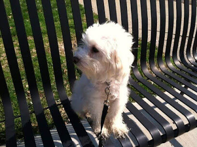 Oakley Station Dog Park