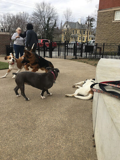Westwood Dog Park
