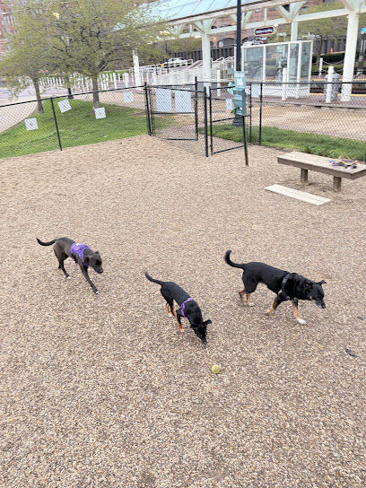 Downtown Cleveland Dog Park