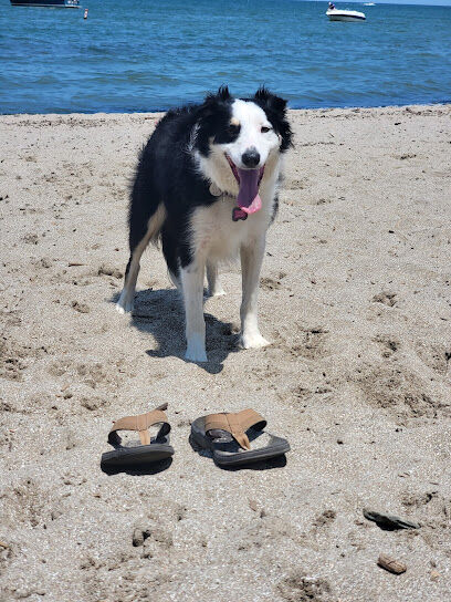 K-9 Coastline