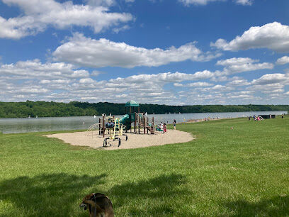 Hueston Woods Dog Beach