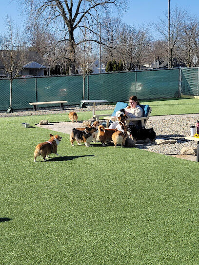Bumble's Backyard