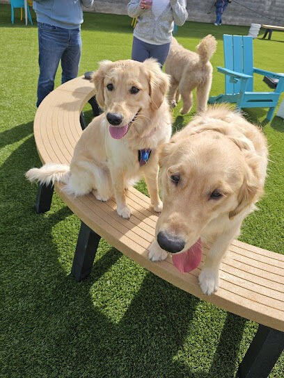 The Wag - Dog Bar and Park