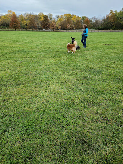 Three Creeks Park Dog Park