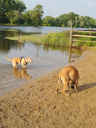 Cooperation Station Dog Park