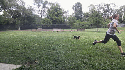 Creager Field Dog Park