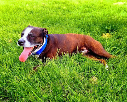 Highland Dog Park