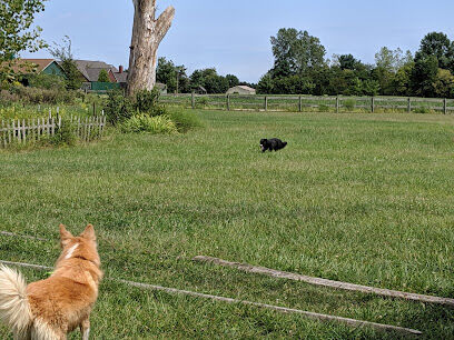 Mutt's Paradise AmuseMutt Park & Dog Training Center
