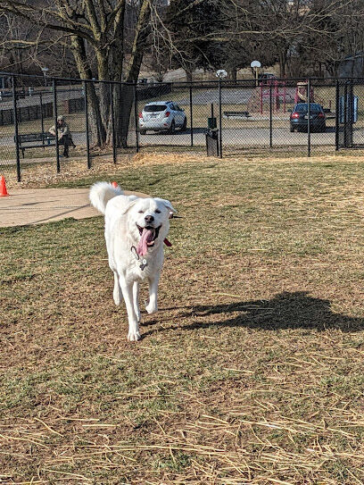 Sandhill Dog Park