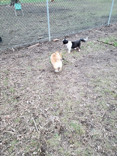 Fremont City Dog Park