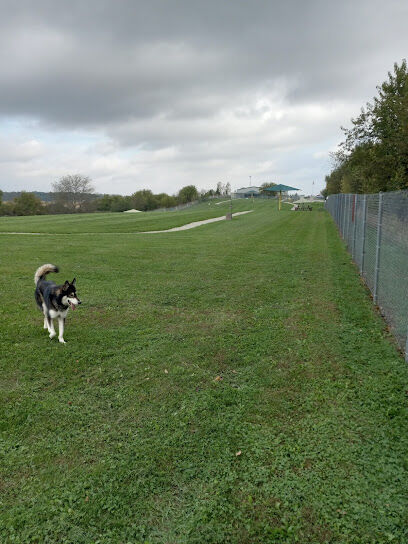 Scentral Dog Park