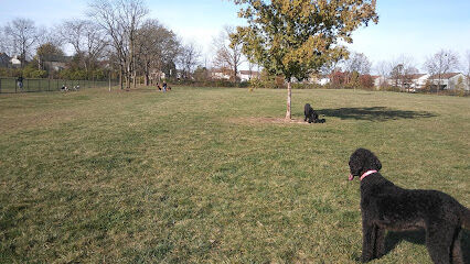 Breck Community Dog Park