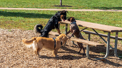 Walnut Woods Dog Park