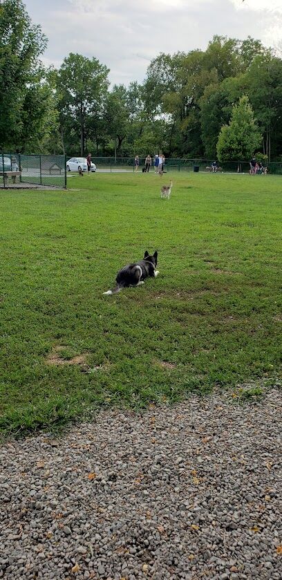 Bark Park