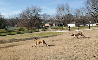 Harrison Dog Park