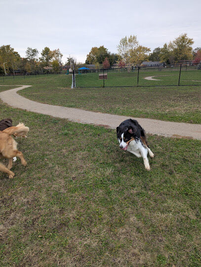Kitty Hawk/Menlo Dog Park