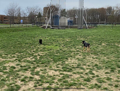Dog Park (Unofficial)