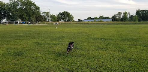 Bark Until Dark Dog Park