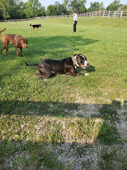Ida Juris Bennett Dog Park