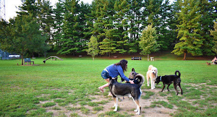 Jackson Hill Dog Park