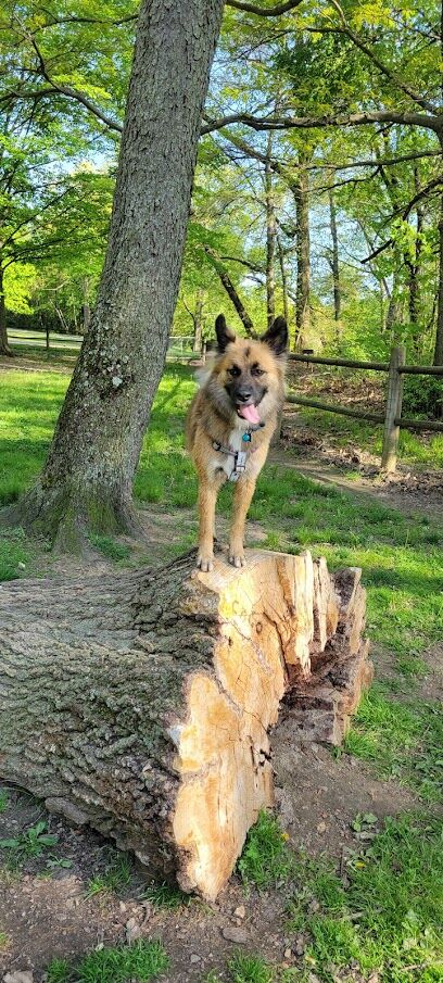 Portage Lakes Dog Park