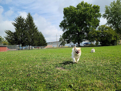 Waddell Park Dog Park