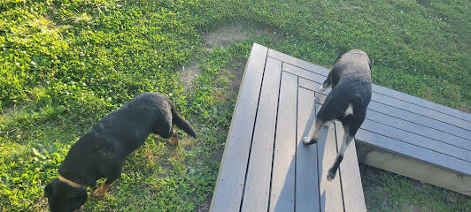 Northside Bark Dog Park