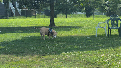 Violet Township Dog Park