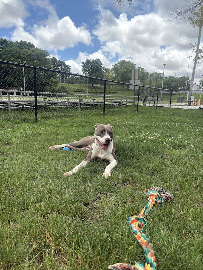 Lower Ross Dog Park