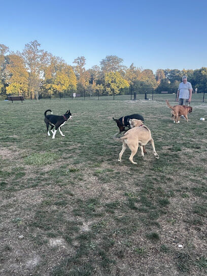 Wintersville Dog Park