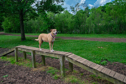 Bow Wow Beach