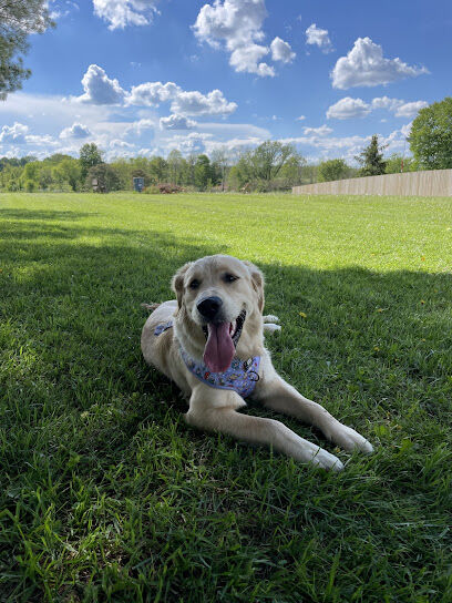 Princes Private Pup Park
