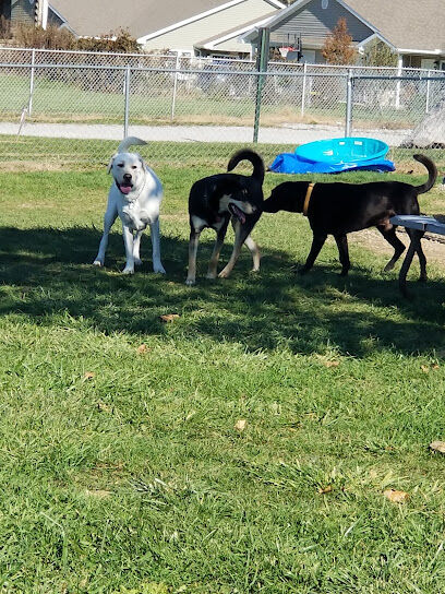 Wapak Dog Park