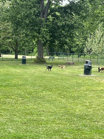 Dog Park