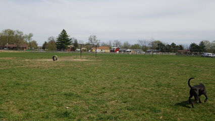 Wiggly Field Dog Park
